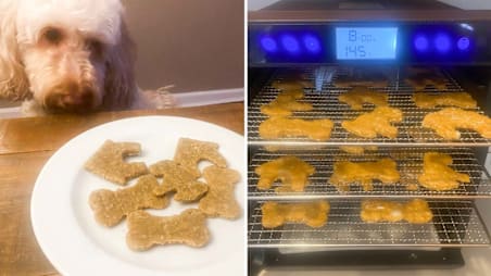 The Easy Way to Make Dog Treats at Home